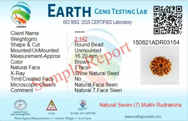 Lab_Certified_Seven_Mukhi_Mahalaxmi_Rudraksha