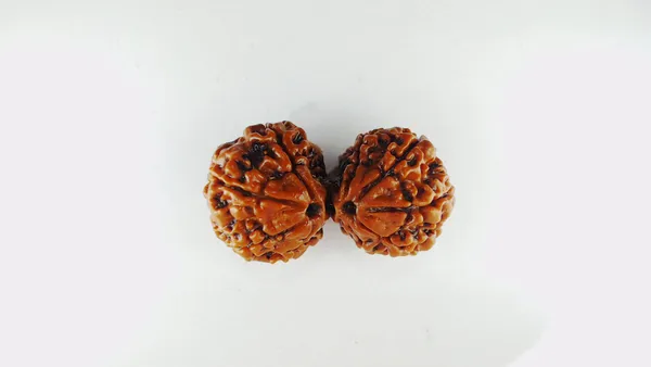 Gauri_Shankar_Rudraksh_Original_&_Preciouse_Nepal_Rudraksha_By_Lab_Certified