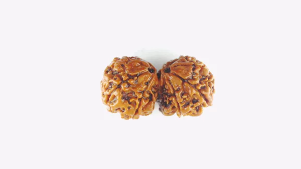 Gauri_Shankar_Rudraksh_Original_&_Preciouse_Nepal_Rudraksha_By_Lab_Certified