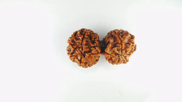 Gauri_Shankar_Rudraksh_Original_&_Preciouse_Nepal_Rudraksha_By_Lab_Certified