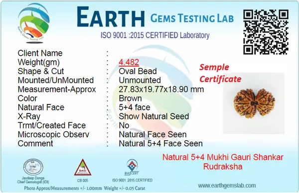 Gauri_Shankar_Rudraksh_Original_&_Preciouse_Nepal_Rudraksha_By_Lab_Certified