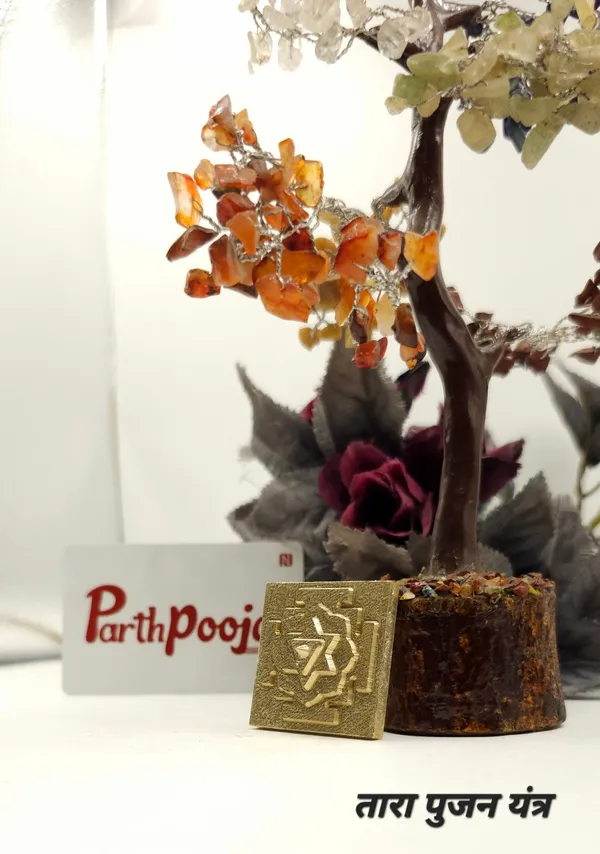 Panchdhatu_Tara_Poojan_Yantra