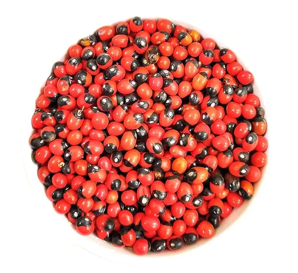 Red_Gunja_Seeds/Laal_Chirmi_Beej_For_Maa_Lakshmi_Pooja_(51_Pieces)