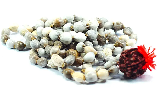 Vaijanti_Mala_108+1_Vaijanthi_Bead_Rosarie_Vaijayanti/Baijanti_For_Vashikaran,_Attraction_And_Devi_Siddhi