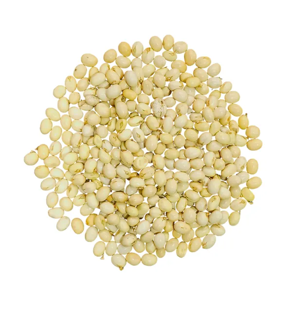 White_Gunja_Seeds