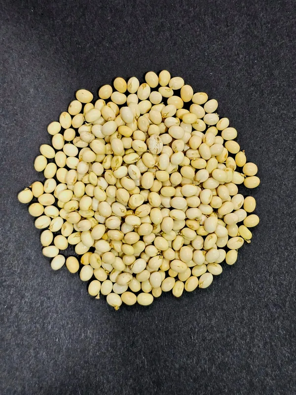 White_Gunja_Seeds