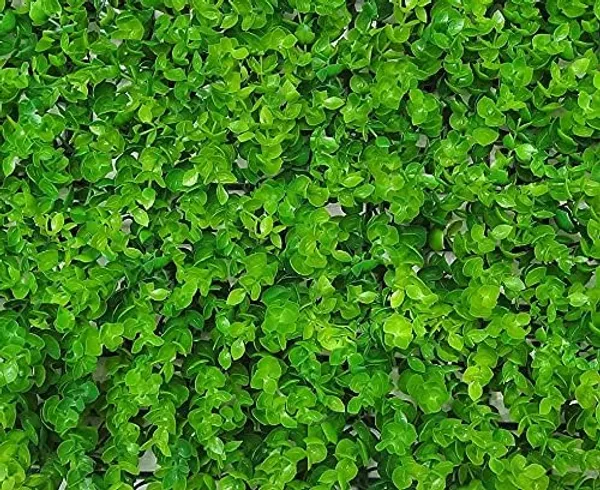 Light_Green_Vertical_Garden_Artificial_Wall_Plants_|_60Cm_X_40Cm_X_8Cm