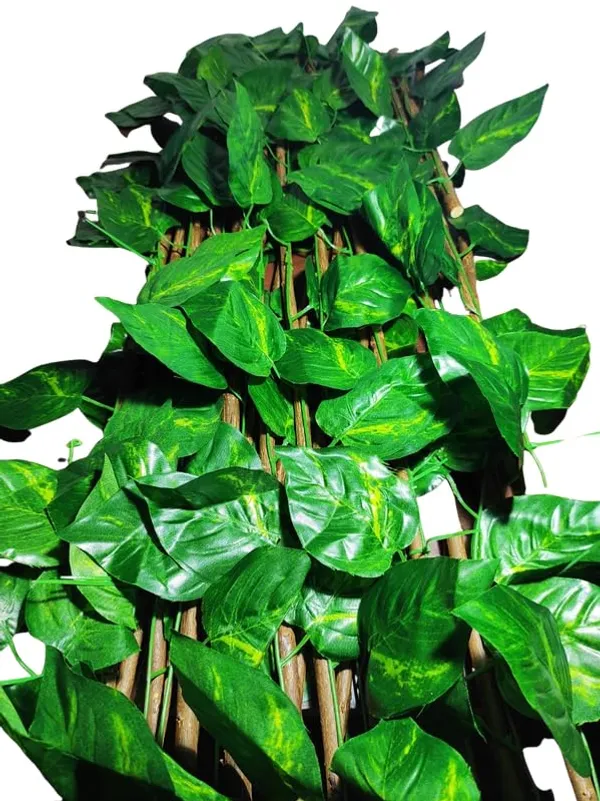 Green_UV_Protected_Garden_Trellis_With_Money_Plant_Leaves_I__Expandable_Garden_Grass_Fence