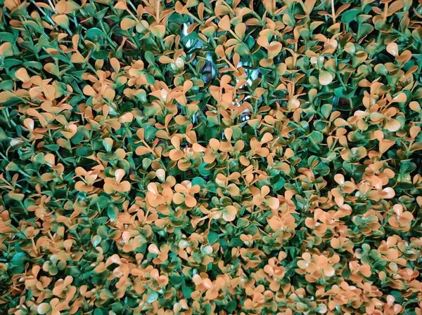 Orange_Vertical_Garden_Artificial_Wall_Plants_|_50Cm_X_50Cm_X_5Cm