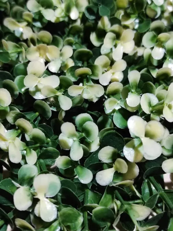 Off-White_Vertical_Garden_Artificial_Wall_Plants_|_50Cm_X_50Cm_X_5Cm