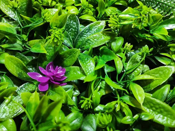 Green_&_Purple_Vertical_Garden_Artificial_Wall_Plants_|_50Cm_X_50Cm_X_5Cm