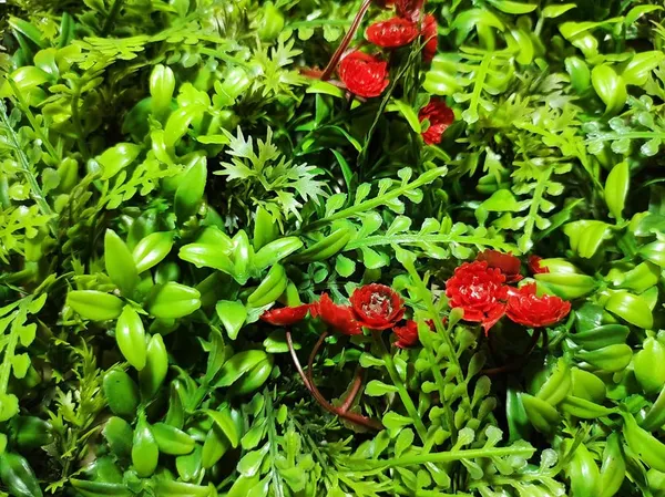 Green_&_Red_Vertical_Garden_Artificial_Wall_Plants_|_60Cm_X_40Cm_X_8Cm