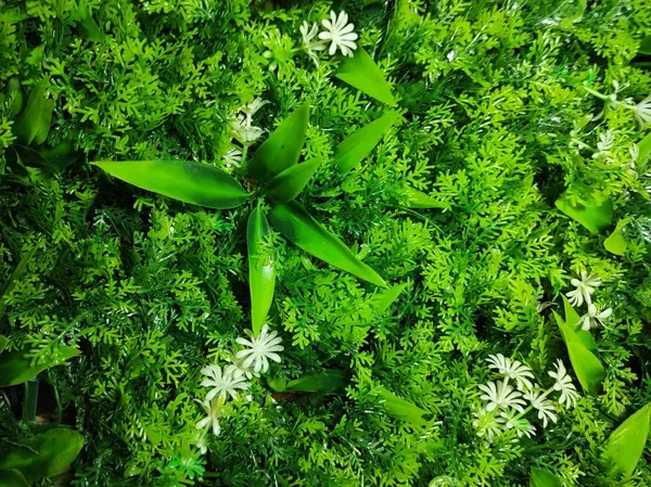 Green_With_White_Flowers_Vertical_Garden_Artificial_Wall_Plants_|_60Cm_X_40Cm_X_8Cm