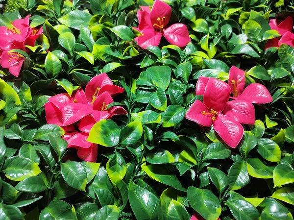 Green_&_Red_Vertical_Garden_Artificial_Wall_Plants_|_50Cm_X_50Cm_X_5Cm