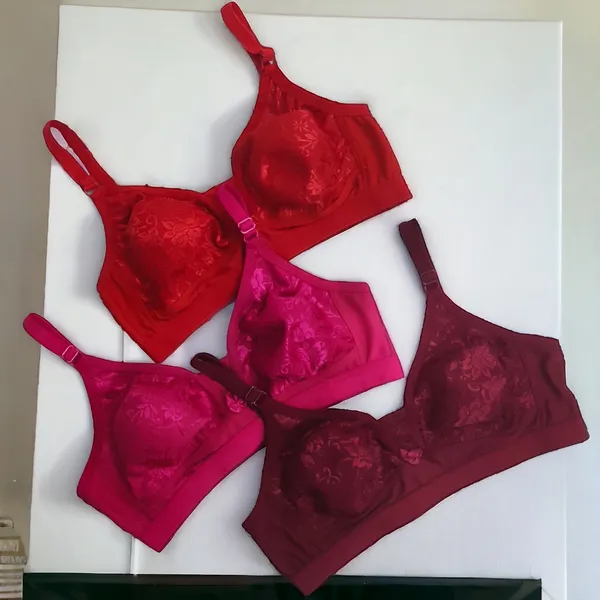 Bold_&_Beautiful:_Pack_of_3_Red,_Rani_&_Maroon_Everyday_Non-Padded_Bras