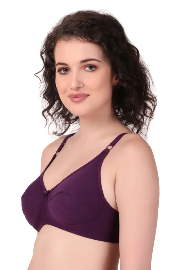 Comfort_&_Style:_Carrot,_Purple_&_Black_Everyday_Non-Padded_Bra_Pack_of_3