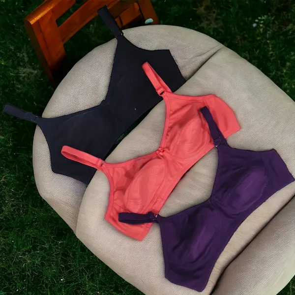 Comfort_&_Style:_Carrot,_Purple_&_Black_Everyday_Non-Padded_Bra_Pack_of_3