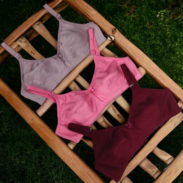 Comfort_&_Support:_Peach,_Pink_&_Maroon_Everyday_Non-Padded_Bra_Pack_of_3