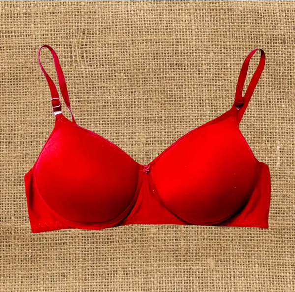 Attractive_Seamless_Padded_Bra_(Pack_of_2)_-_Elegant_Black_&_Bold_Red