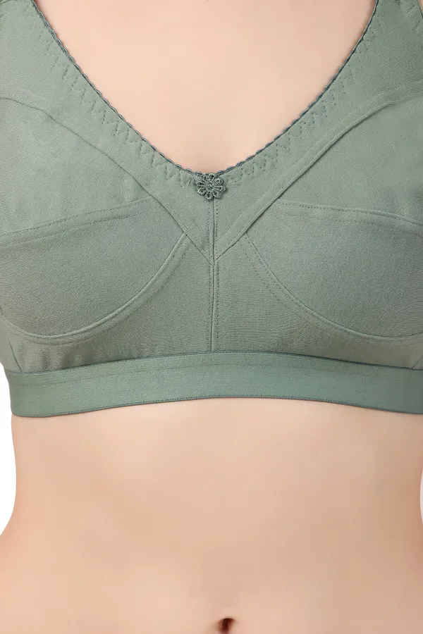 C_Cup_Non-Padded_Bra_(Pack_of_3)_-_Grey,_Green,_Pink_|_Everyday_Wear,_Seamed_Design_for_Natural_Support_and_Comfort