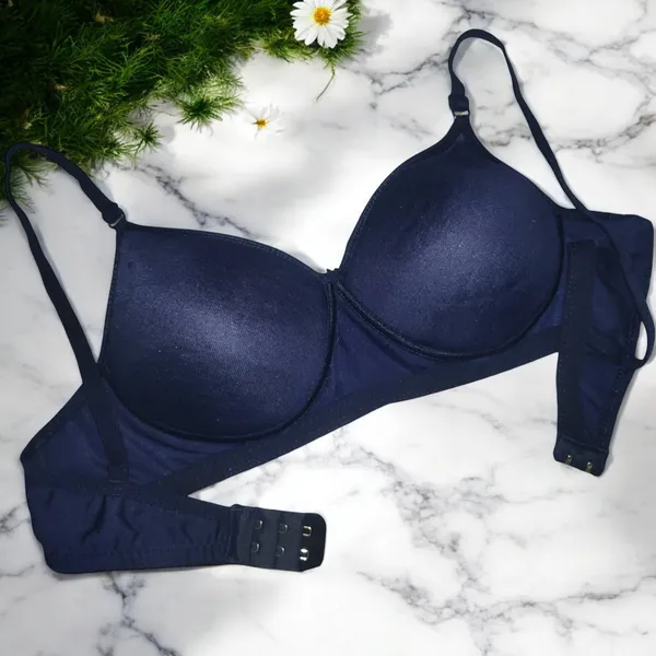 Lightly_Padded_Seamless_Bra_Set_(Pack_of_3)_-_Sea_Blue,_Magenta,_Navy_Blue