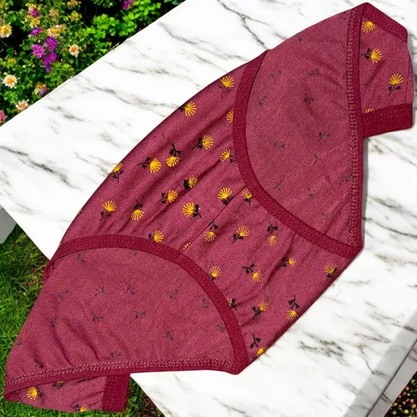 Women's_Cotton_Blend_Panty_–_Pack_of_3_(Beige,_Magenta,_Wine)_with_Flower_&_Star_Print_|_Soft,_Stylish_&_Comfortable_Daily_Wear