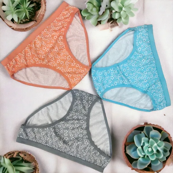Women's_Cotton_Blend_Panty_–_Pack_of_3_(Grey,_Sky_Blue,_Gajri)_|_Soft,_Comfortable,_and_Stylish_Daily_Wear