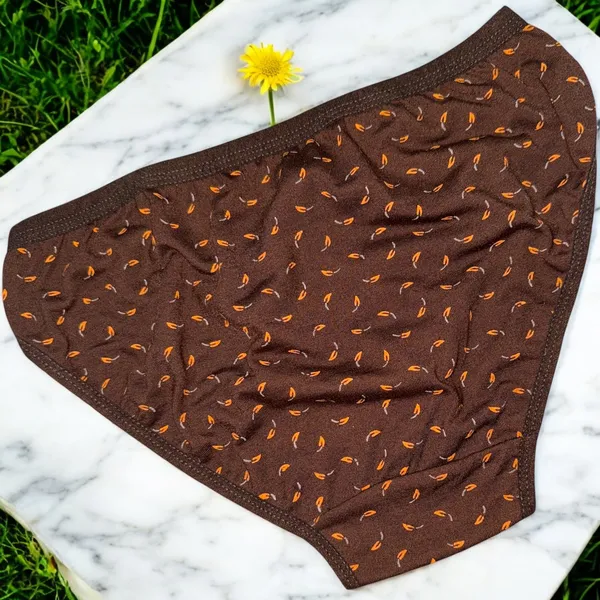 Women's_Cotton_Blend_Panty_–_Pack_of_3_(Navy,_Coffee,_Maroon)_with_Patti_Print_|_Soft,_Stylish_&_Comfortable_Daily_Wear