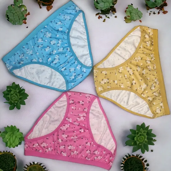 Women's_Cotton_Blend_Panty_–_Pack_of_3_(Sky_Blue,_Pink,_Beige)_|_Soft,_Comfortable,_and_Stylish_Daily_Wear