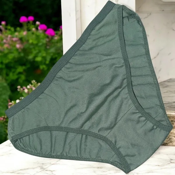 Women's_Cotton_Blend_Panty_–_Pack_of_6_Random_Colors_|_Soft,_Comfortable_&_Versatile_Daily_Wear__Features