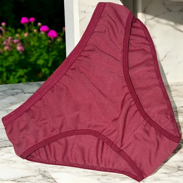 Women's_Cotton_Blend_Panty_–_Pack_of_6_Random_Colors_|_Soft,_Comfortable_&_Versatile_Daily_Wear__Features