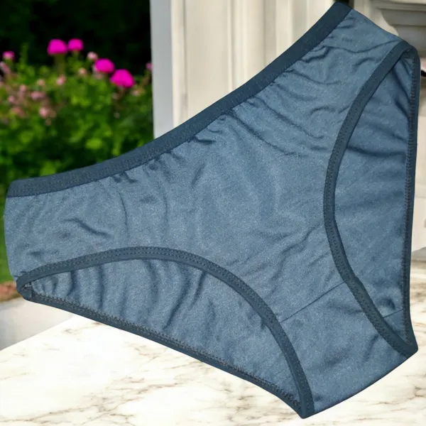 Women's_Cotton_Blend_Panty_–_Pack_of_6_Random_Colors_|_Soft,_Comfortable_&_Versatile_Daily_Wear__Features