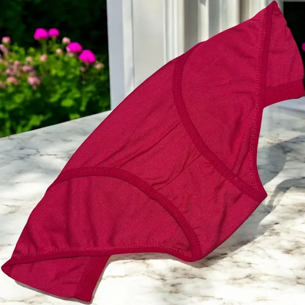 Women's_Cotton_Blend_Panty_–_Pack_of_6_Random_Colors_|_Soft,_Comfortable_&_Versatile_Daily_Wear__Features