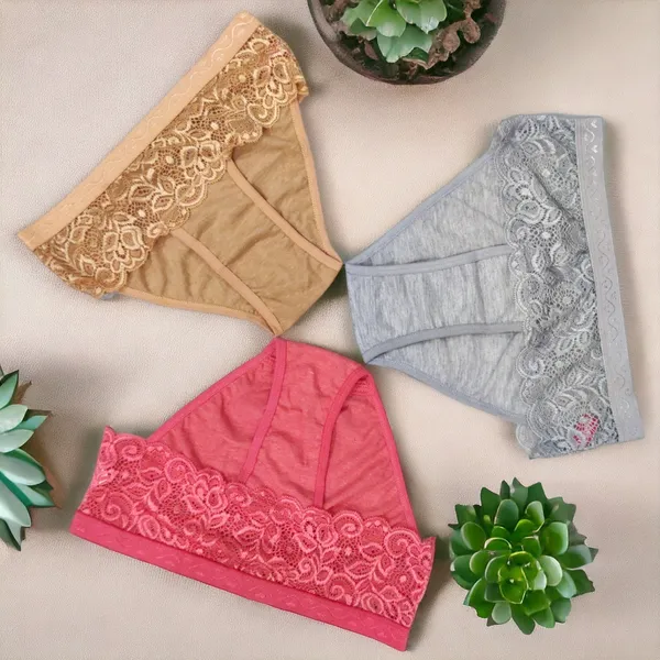 Women's_Cotton_Blend_Panty_with_Pallu_Lace_–_Pack_of_3_(Grey,_Beige,_Pink)_|_Elegant,_Soft,_Comfortable_Daily_Wear