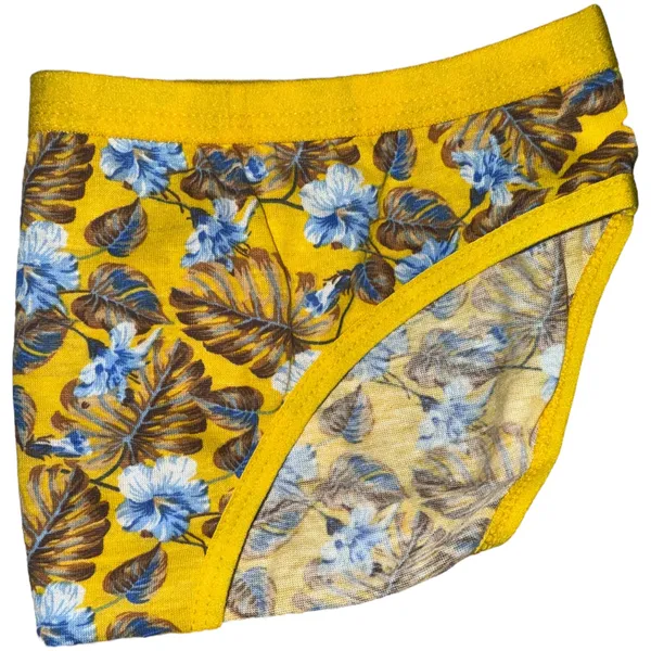 Women's_Cotton_Printed_Flower_Panty_–_Pack_of_3