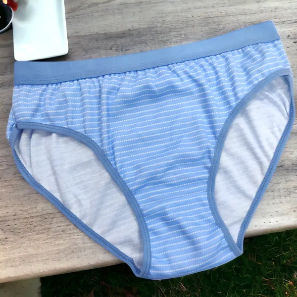 Women's_Hipster_Panty_–_Pack_of_3_(Pink,_Blue,_Skin)_|_Soft_Cotton_Blend,_Comfortable_Fit,_Daily_Wear