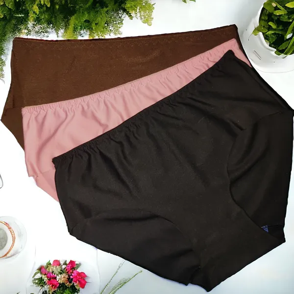 Women's_Lycra_Fabric_Seamless_Panty_–_Pack_of_3_Assorted_Colors_|_Soft,_Stretchable,_and_Comfortable_Daily_Wear