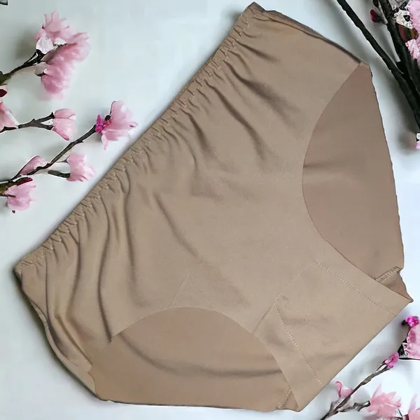 Women's_Lycra_Fabric_Seamless_Panty_–_Pack_of_5_Assorted_Colors_|_Soft,_Stretchable,_Comfortable,_and_Invisible_Underwear