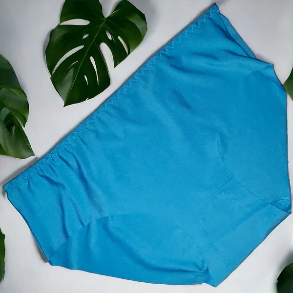 Women's_Lycra_Fabric_Seamless_Panty_–_Pack_of_5_Assorted_Colors_|_Soft,_Stretchable,_Comfortable,_and_Invisible_Underwear