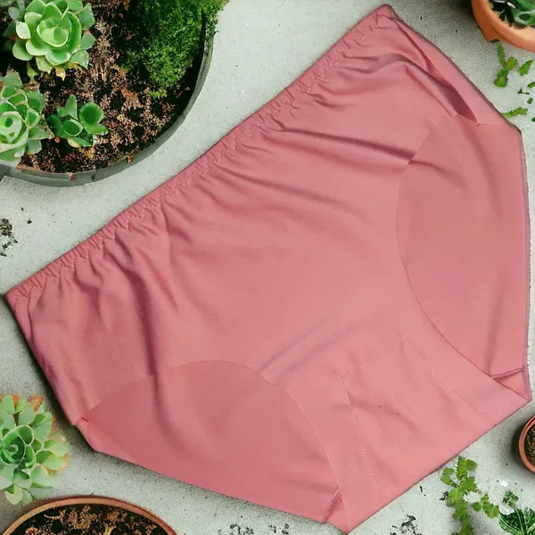 Women's_Lycra_Fabric_Seamless_Panty_–_Pack_of_5_Assorted_Colors_|_Soft,_Stretchable,_Comfortable,_and_Invisible_Underwear