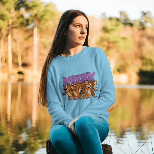 Baby_Blue_Stylish_Cotton_Sweatshirt_For_Men_&_Women