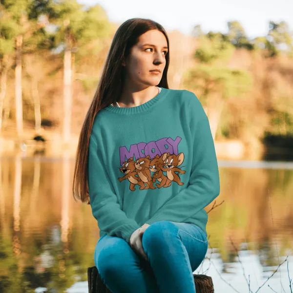 Aqua_Stylish_Cotton_Sweatshirt_For_Men_&_Women