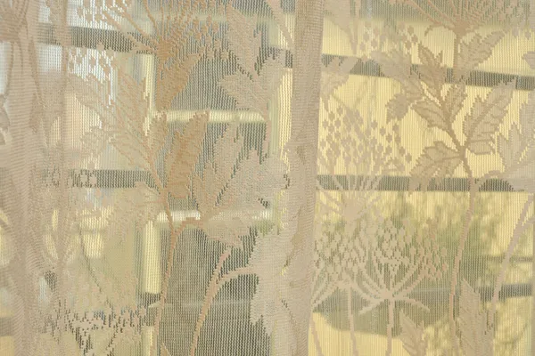 Galaxy_Home_Decor_Transparent_Flower_Net_Design_Sheer_Curtains,_Pack_of_2,Beige