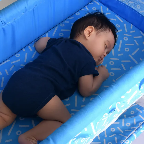 Panda_Jumbo_Baby_Cradle_Newborn_Baby_Sleep_Swing_Cradle/Mattress_And_Wheels_And_Cradle_For_0-13_Months_Baby_Boys_And_Girls