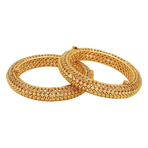 Gold_Set_Of_2_Gold_Plated_Traditional_Rajwadi_Jewellery_Inspired_Ethnic_Filigree_Style_Screw_Closure_Bangles_Women_And_Girls_(2.6)