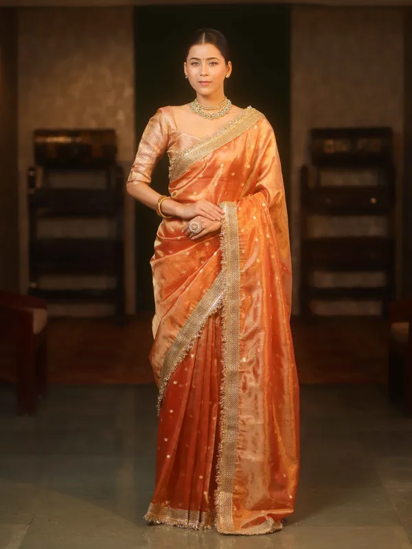 Banarasi_Tissue_All_over_zari_Booti_Saree_with_Designer_Sequence_Lace