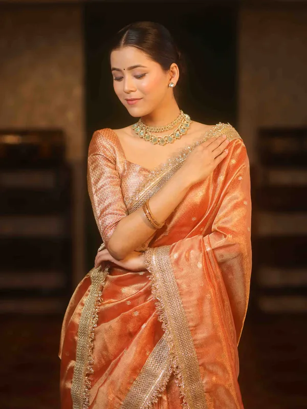 Banarasi_Tissue_All_over_zari_Booti_Saree_with_Designer_Sequence_Lace