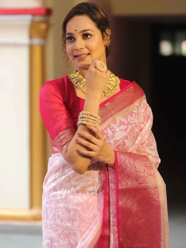Organza_Silk_Chikankari_Resham_Embroidery_Work_Saree