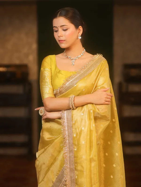 Banarasi_Tissue_All_over_zari_Booti_Saree_with_Designer_Sequence_Lace