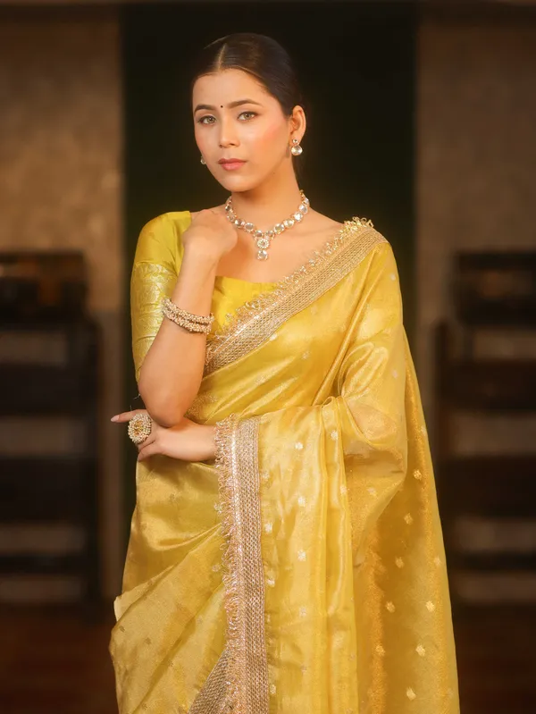 Banarasi_Tissue_All_over_zari_Booti_Saree_with_Designer_Sequence_Lace